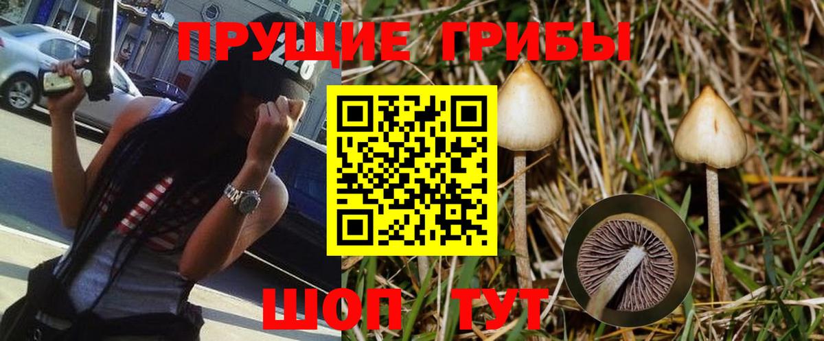 Галлюциногенные грибы прущие грибы Геленджик